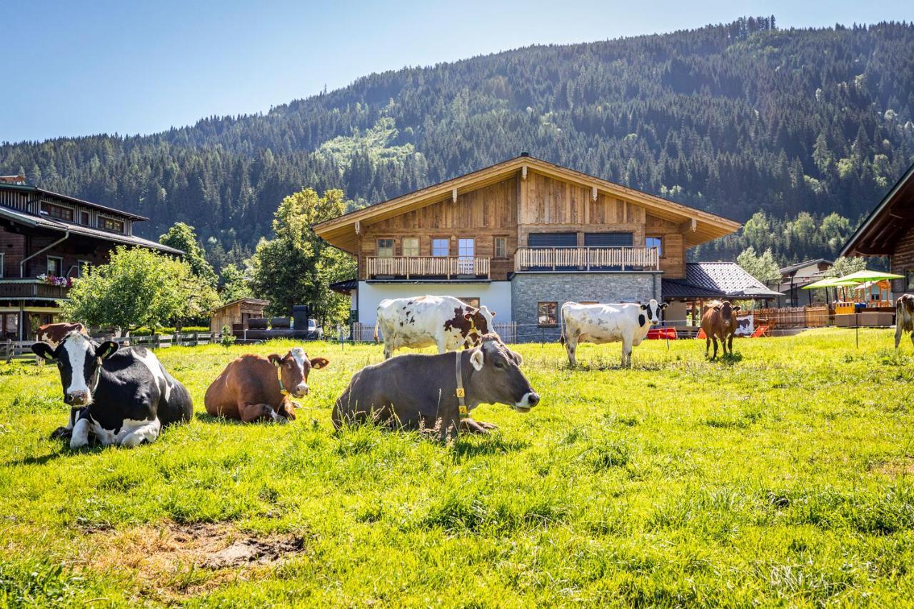 Bauernhof Vorderklinglhub Vila Flachau Exterior foto